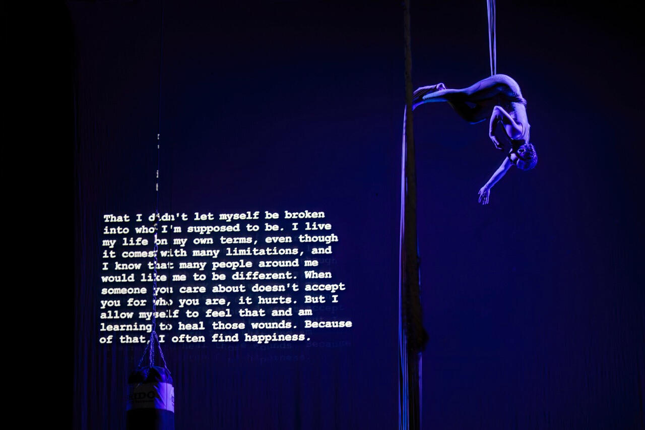 Vojtěch Brtnický, Divadlo BRAVO! 2025